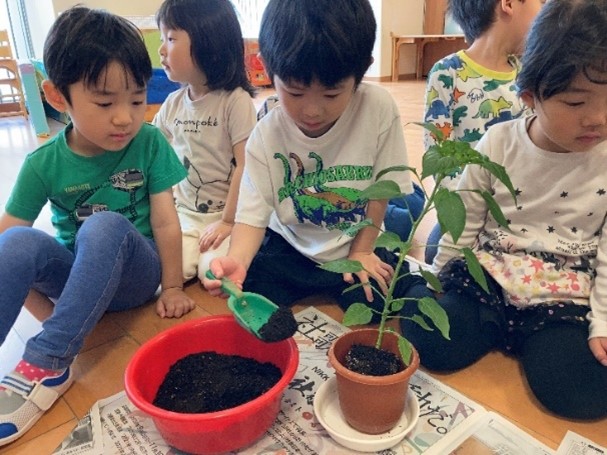 【新宿区】認可保育所の正社員保育士