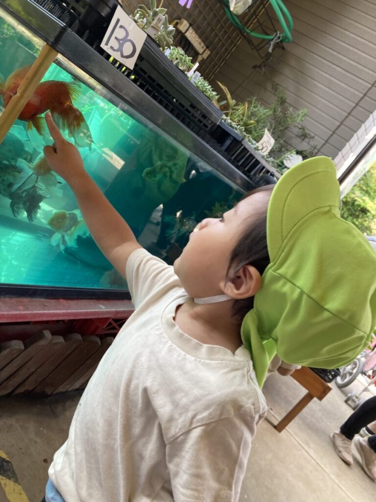 スライド写真