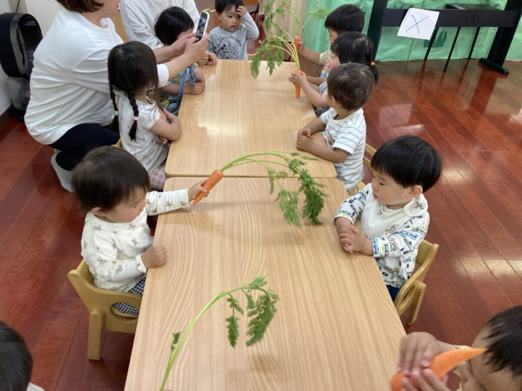 スライド写真