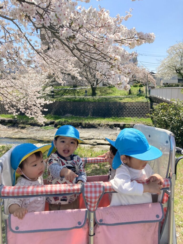 スライド写真