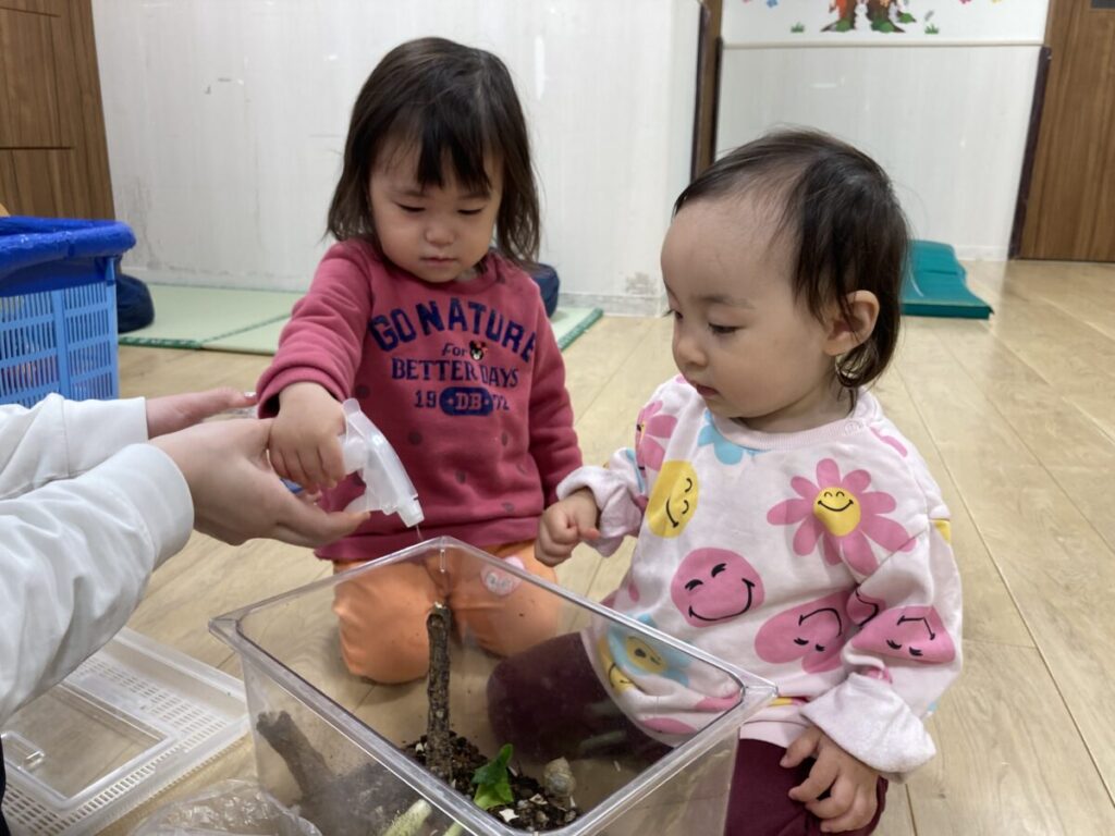 スライド写真