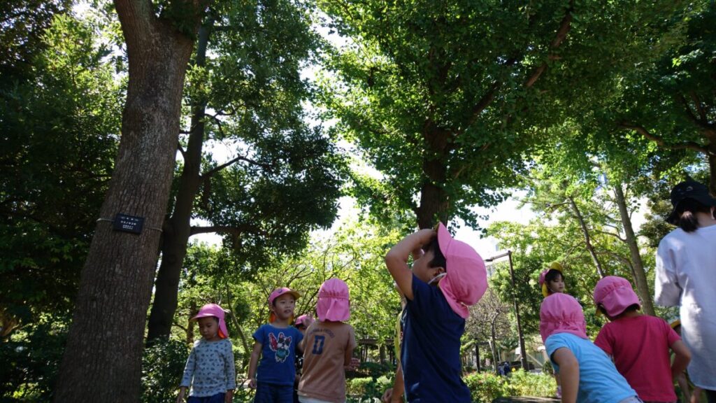 スライド写真