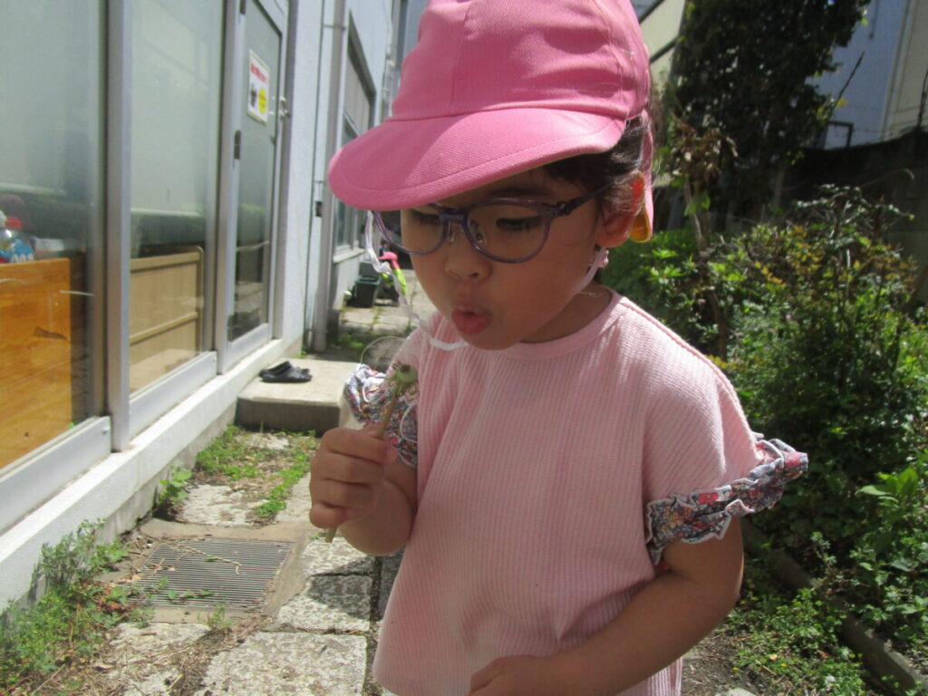 スライド写真